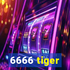 6666 tiger